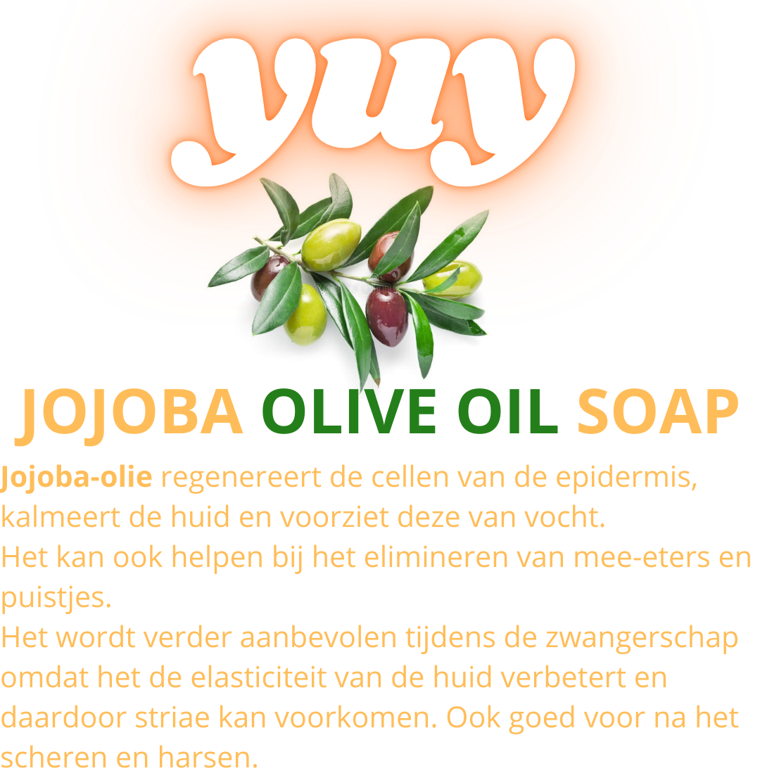 Jojoba Jojoba