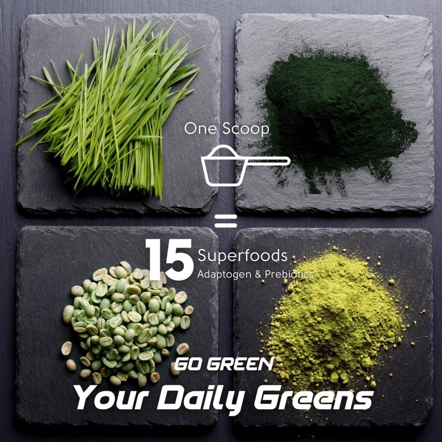 MIX VAN BIOLOGISCHE NAAR GROENE ENERGIE 4 MIX VAN BIOLOGISCHE NAAR GROENE ENERGIE 4